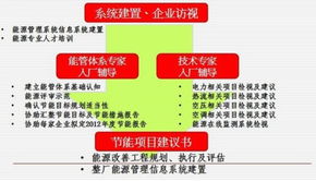數(shù)字科技賦能智慧壽光 環(huán)球軟件構(gòu)筑城市治理新基石